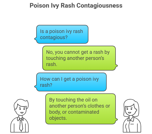 is poisonous ivy contagious