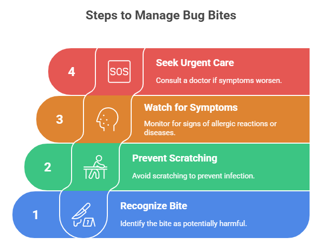 steps to manage bug bites