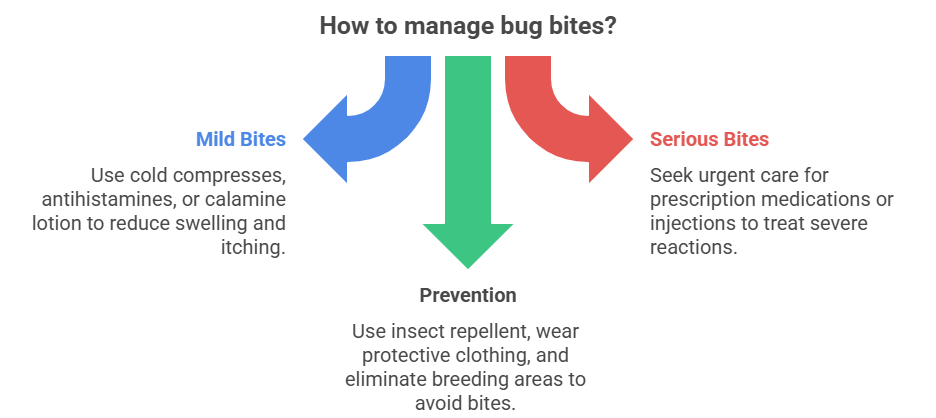 how to manage bug bites