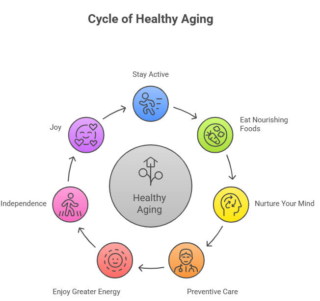 cycle of healthy aging