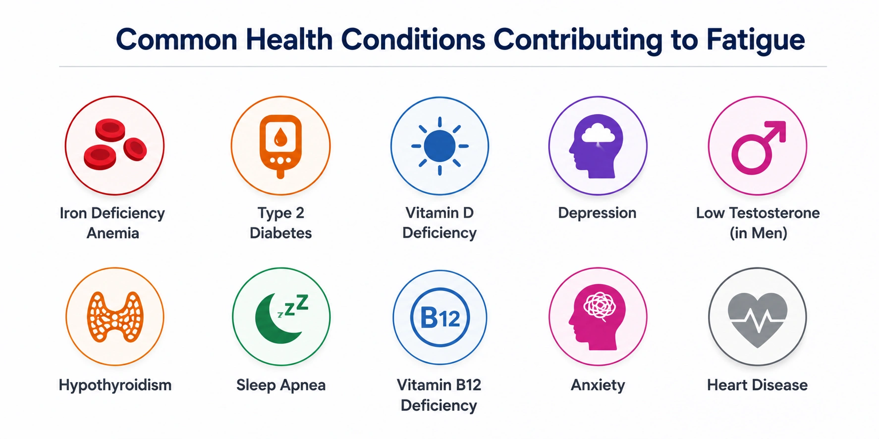 Illustration showing common health conditions that can contribute to fatigue, including iron deficiency anemia, hypothyroidism, type 2 diabetes, sleep apnea, vitamin D deficiency, vitamin B12 deficiency, depression, anxiety, low testosterone, and heart disease