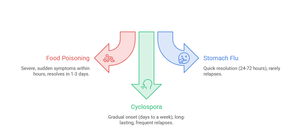 Comparison chart illustrating the differences between Cyclospora, food poisoning, and stomach flu symptoms