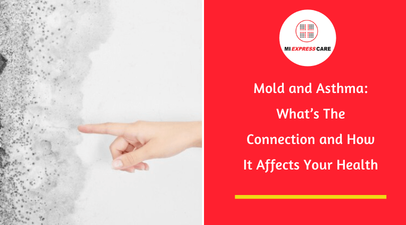 Mold and Asthma: What’s The Connection and How It Affects Your Health