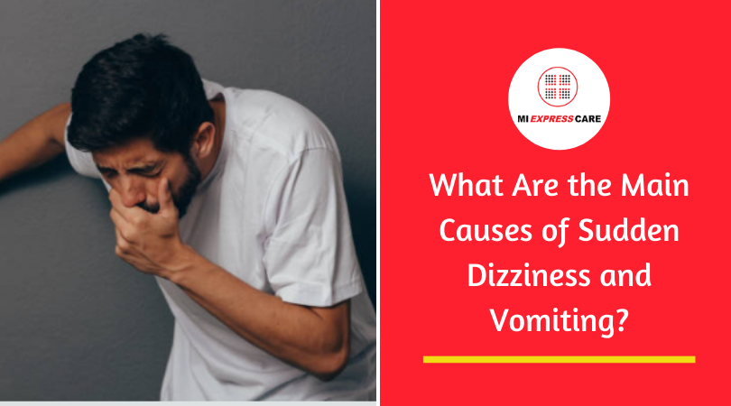 What Are the Main Causes of Sudden Dizziness and Vomiting?