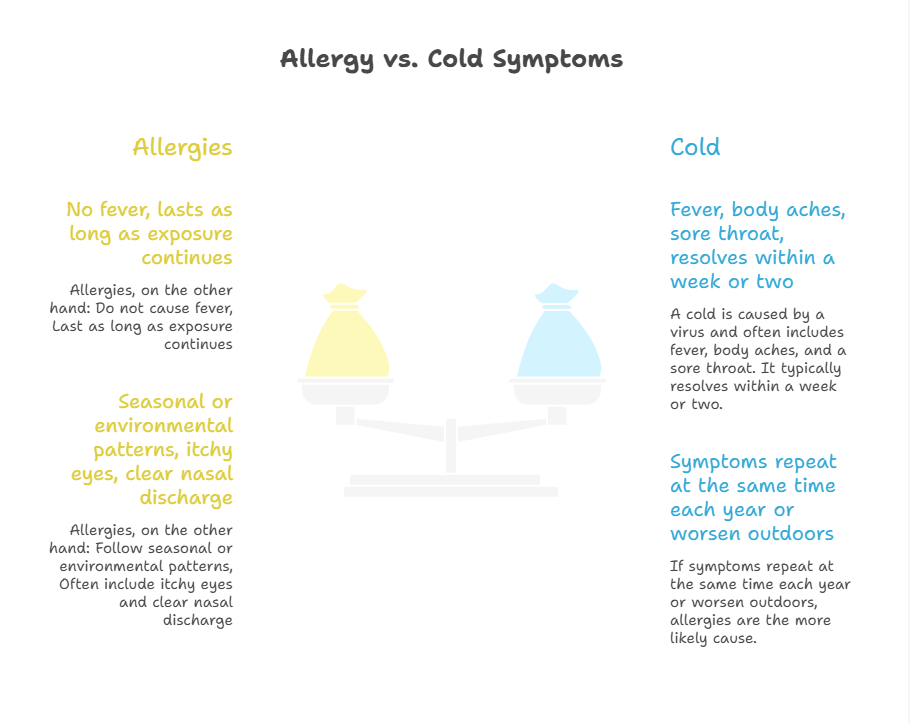 allergies vs cold