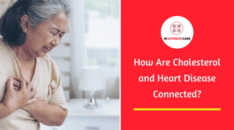 How Are Cholesterol and Heart Disease Connected?