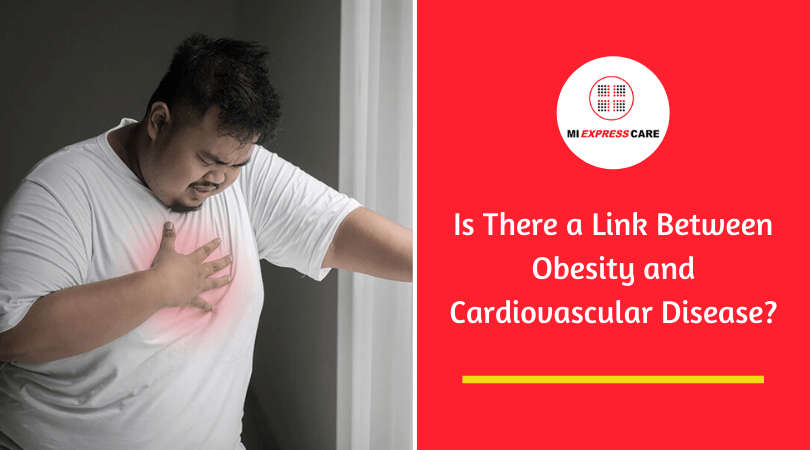 Is There a Link Between Obesity and Cardiovascular Disease?